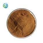 Lion's Mane Extract Capsules Manufacturer - Food Supplement Hericium Erinaceus Mushroom