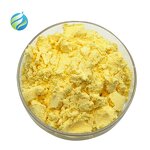Quercetin Powder Manufacturer - Natural Sophora Japonica Extract 95% 98% Dihydrate