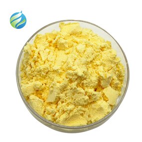 Quercetin Powder Manufacturer - Natural Sophora Japonica Extract 95% 98% Dihydrate