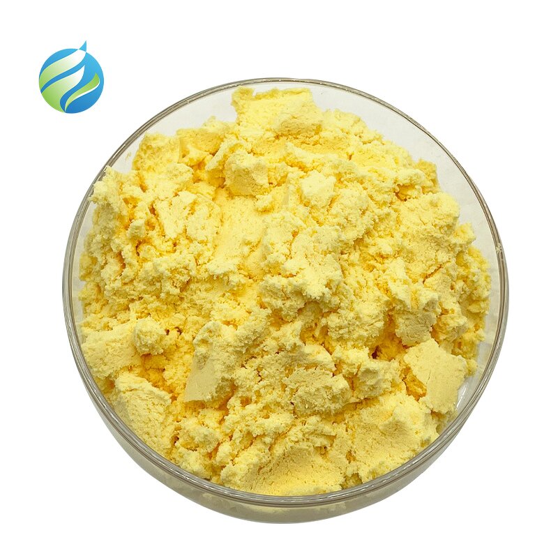 Quercetin Powder Manufacturer - Natural Sophora Japonica Extract 95% 98% Dihydrate