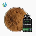 Ajuga Turkestanica Extract Manufacturer - Wholesale 2% 10% Pure Turkesterone