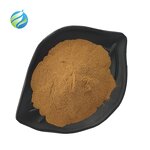 Maca Extract Powder Manufacturer - Wholesale Bulk 100% Natural Black Root