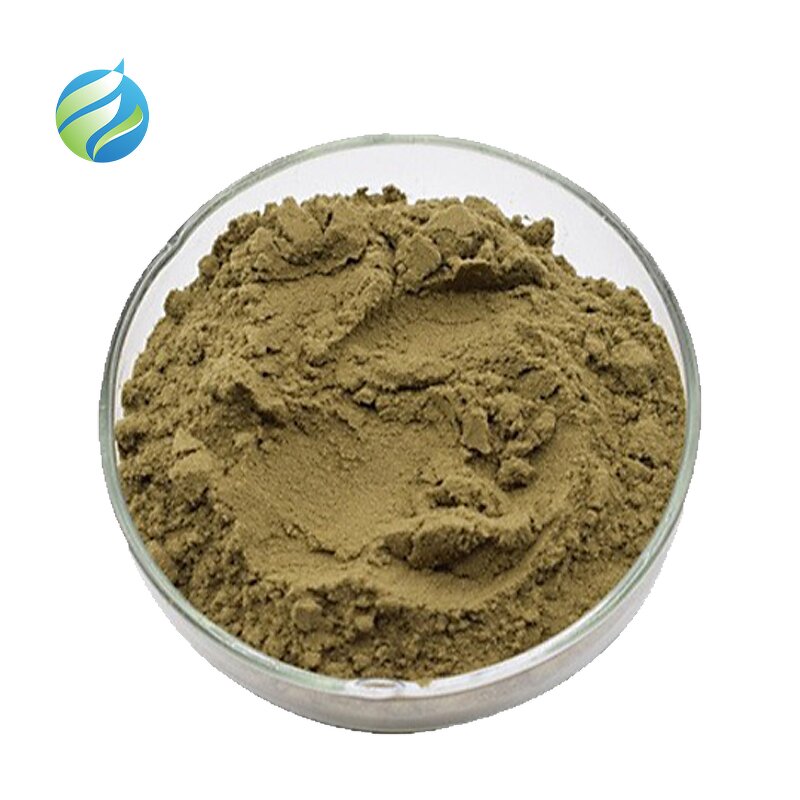 Iron Glycinate Powder Manufacturer - High Quality Food Grade