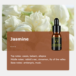 Car Aromatherapy Manufacturer - Advanced Sense Car Ornaments 160ML High-grade Fragrance Lasting Light