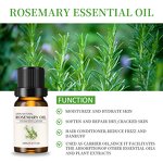 Essential Oils Manufacturer - 100% Natural Private Label Organic Castor Tea Tree Rosemary