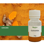 Curcuma Extract Powder Manufacturer - Factory Price Bulk Natural 95% Curcumin Turmeric