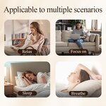 Essential Oil Manufacturer - Wholesale Roll on Lavender Tea Tree 10ml Rosemary & Jasmine Scents