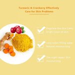 Facial Clay Mask Manufacturer - Clear up Acne Blemishes Refines Pores Fruit Extract Exfoliating Collagen Organic Cranberry Turmeric