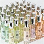 Perfume Oil Manufacturer - 10ml Unisex Long Lasting Roll-On Fruity Floral Alcohol-Free