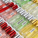 Perfume Oil Manufacturer - 10ml Unisex Long Lasting Roll-On Fruity Floral Alcohol-Free