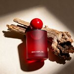 Perfume Manufacturer - Custom Rose Vanilla Long-Lasting Floral Body Mist & OEM