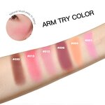 Blusher Manufacturer - Professional Cosmetic 6 Colors Makeup Rose Glow Pink Palettes Wholesale