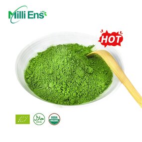 Matcha Powder Manufacturer - UJI Antioxidant Revitalizing 100% Vegan USDA Organic Ceremony Green Tea