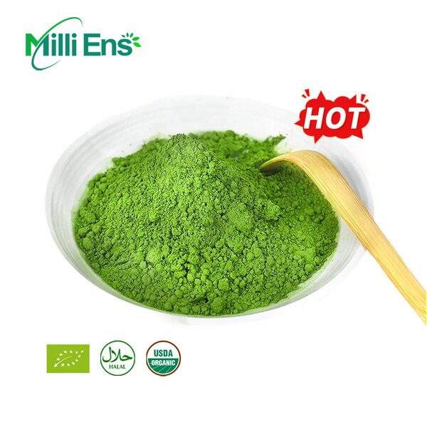 Matcha Powder Manufacturer - UJI Antioxidant Revitalizing 100% Vegan USDA Organic Ceremony Green Tea