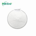 Creatine Powder Manufacturer - Hot Sale Creatine Monohydrate HPLC Creatine HCL Bulk Powder