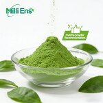 Matcha Powder Manufacturer - E61 OEM ODM Organic Vegan Slimming Culinary Grade Ceremony Ultra-fine