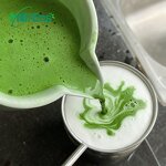 Matcha Powder Manufacturer - E2 OEM Fresh Organic Ceremony Premium Culinary Grade Instant Bags Can