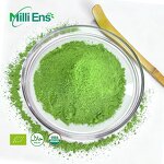 Matcha Powder Manufacturer - E12 Free Sample Wholesale Culinary Grade Organic Private Label Natural Pure