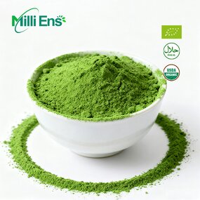Matcha Powder Manufacturer - 5A 6A UJI Organic Extract Bulk 5kg Carton Fresh Taste Japanese