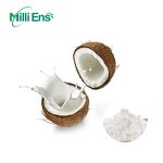 Coconut Powder Manufacturer - Bulk Wholesale 100% Pure Coconut Cream Milk Extract Cocos Powder