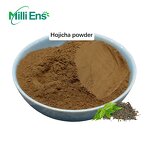 Hojicha Tea Powder Manufacturer - Ceremony Roasted Aroma Organic Japanese Green Tea Roasted Powder