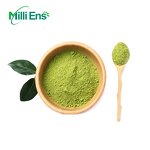 Matcha Powder Manufacturer - Hot Sale Wholesale Free Sample Organic Private Label Natural Pure Ceremony