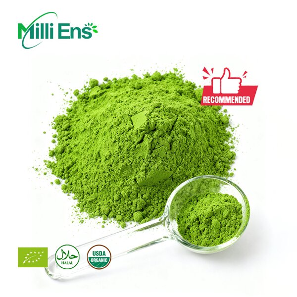 Matcha Powder Manufacturer - USDA EU Organic A-6A Uji Ceremony Japanese Diet Bulk Bag Bottle