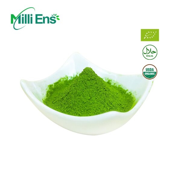 Matcha Powder Manufacturer - Daily Drinker 6A UJI USDA Ceremony Grade Tin Can Culinary Bakery