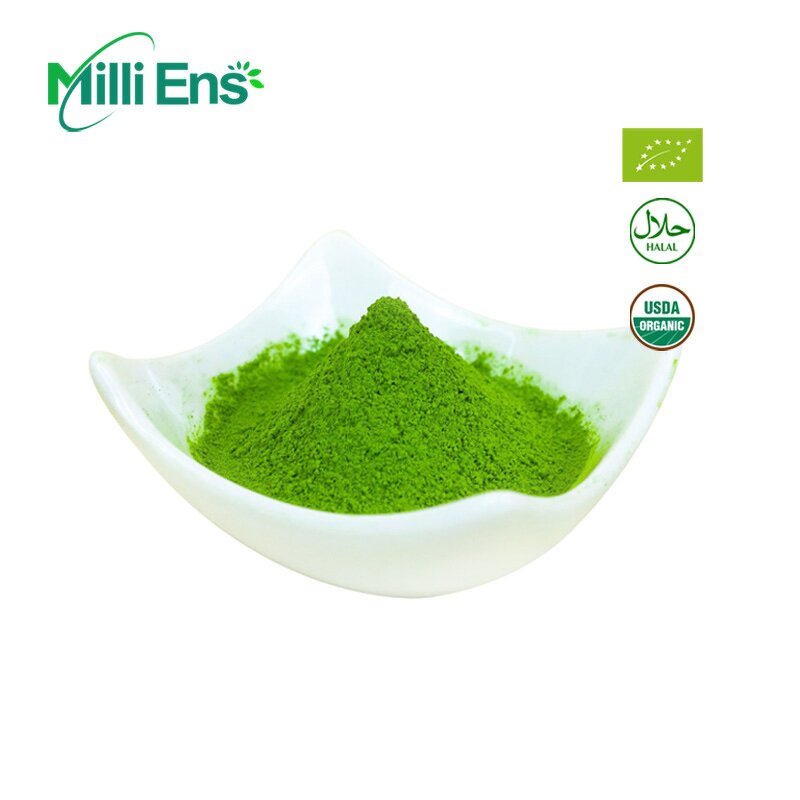 Matcha Powder Manufacturer - Daily Drinker 6A UJI USDA Ceremony Grade Tin Can Culinary Bakery