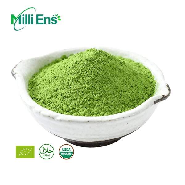 Matcha Powder Manufacturer - Pure Natural Ceremony Japanese Uji 6A Premium Private Label Organic