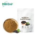 Hojicha Tea Powder Manufacturer - Factory Price Food Grade Roasted Herbal Extract Drinking Cooking