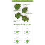 Matcha Powder Manufacturer - Wholesale Outstanding Quality USDA Certified Japanese Sample Available