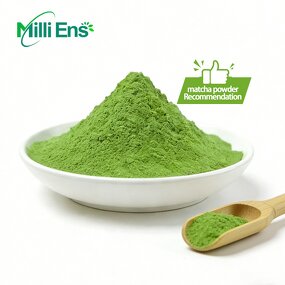Matcha Powder Manufacturer - E Tea Powder Online Buy Bulk Organic China Ceremony Green OEM Sachet