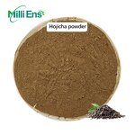 Hojicha Tea Powder Manufacturer - E47 Private Label Culinary Grade Organic Gluten-Free Instant Beverage