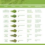 Matcha Powder Manufacturer - Hot Sale Wholesale Free Sample Organic Private Label Natural Pure Ceremony