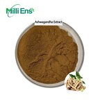 Herbal Extract Powder Manufacturer - Factory Bulk Price Organic 100% Natural Ashwagandha Root Extract