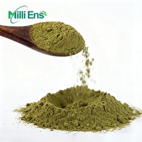 Hojicha Tea Powder Manufacturer - Premium Organic Pure Natural Instant Roasted Private Label