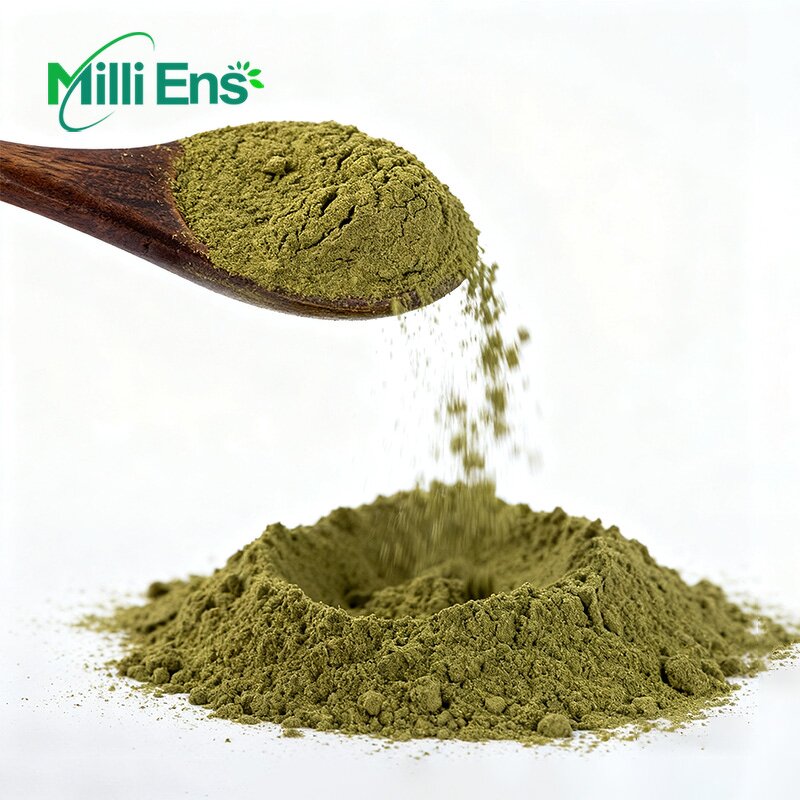 Hojicha Tea Powder Manufacturer - Premium Organic Pure Natural Instant Roasted Private Label