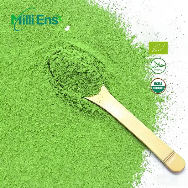 Matcha Powder Manufacturer - E26 Free Sample Custom Organic Private Label Ceremony Culinary Grade Instant