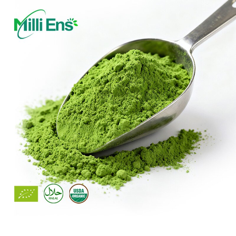Matcha Powder Manufacturer - E88 OEM ODM Japanese 6A Pure Organic Ceremony Grade Instant Roasted