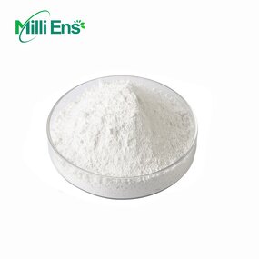 Creatine Powder Manufacturer - Hot Sale Creatine Monohydrate HPLC Creatine HCL Bulk Powder