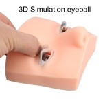 睫毛训练头供应商-硅胶3D仿真模型