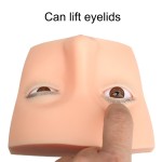 睫毛训练头供应商-硅胶3D仿真模型