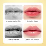 Lip Balm Stick Manufacturer - Custom Logo Vegan Shea Butter Honey for Dry Lips - Bulk