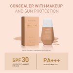 Liquid Foundation Manufacturer - OEM Full Coverage Concealer Base - SPF 30 Anti UVA UVB