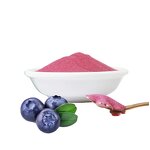 Blueberry Powder Manufacturer - QST OEM 100% Organic Superfood Freeze Dried Organic