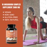 Mushroom Capsules Manufacturer - Mushroom Complex Powder Chaga Lions Mane Organic Adaptogen Reishi