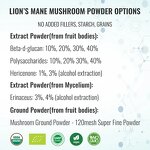 Mushroom Extract Powder Manufacturer - Wholesale Bulk 10:1 Chaga Organic Powder Extract