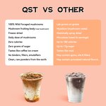 Mushroom Coffee Powder Manufacturer - Chaga Shiitake Instant Ganoderma Reishi Private Label Lions Mane