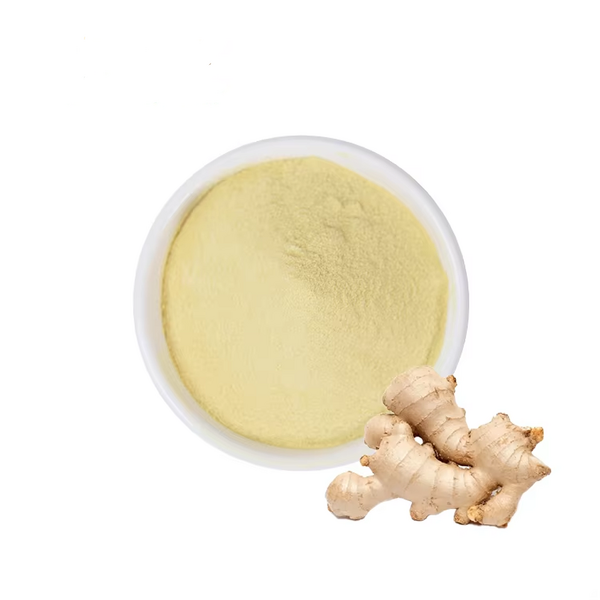 Ginger Tea Powder Manufacturer - QST All Natural Powdered Ginger Spicy Juice Extract